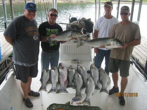 Nice Striped Bass